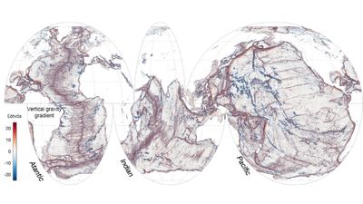 Satellites reveal stunningly detailed maps of Earth's seafloors