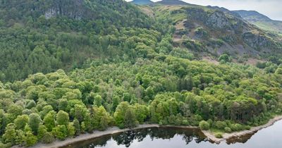 Scottish Government announces £5 million funding to restore rare habitat