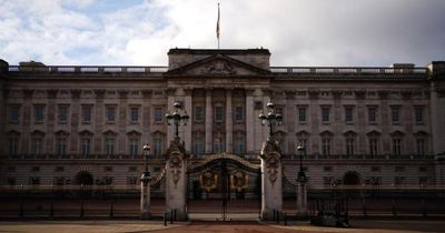 Buckingham Palace says reports of staff member’s arrest will be investigated