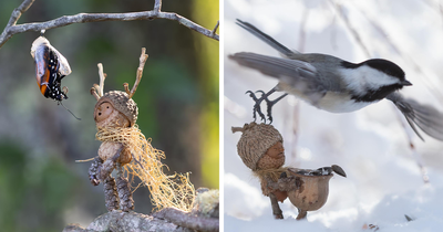 Becorns: This Ex-LEGO Designer Traded Plastic Bricks For Acorns And Sticks (30 Pics)