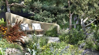 How to create a native landscape in 2025 – experts reveal eco-friendly gardening secrets to transform your plot