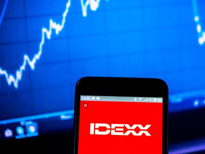Is IDEXX Laboratories Stock Underperforming the S&P 500?