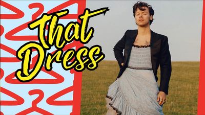 When Harry Styles went where no man had with his US Vogue cover in a Gucci dress