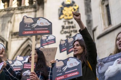 Animal activists hail historic victory in battle over ‘cruel’ Frankenchickens