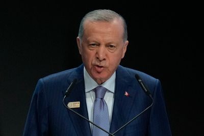 Turkey's Erdogan offers to mediate between Sudan and the UAE