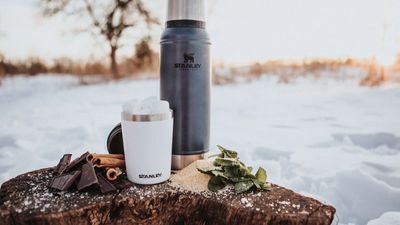 Your favorite viral water bottle might be a 'burn hazard' – Stanley recalls 2.6 million travel mugs, find out if you're affected