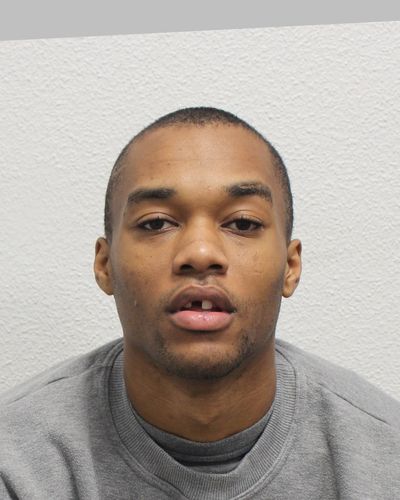 Man jailed for life after murdering and dismembering 20-year-old and dumping body in suitcase in South Norwood