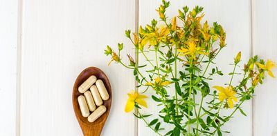 St John’s wort: six drug interactions you should know about