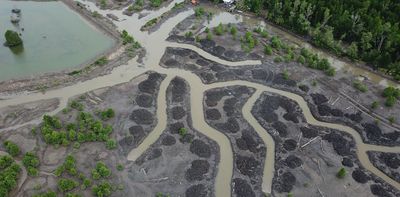 Three promising outcomes from the world’s first official summit to conserve and restore mangroves