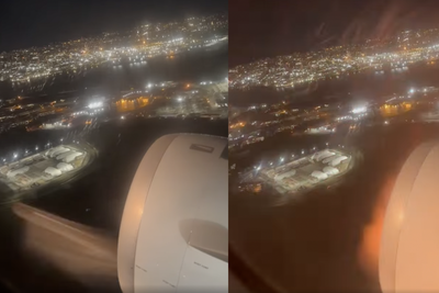 WATCH: Horrifying Moment Bird Strikes Plane Engine, Sparking Flames and Forcing Flight to Make Emergency Landing