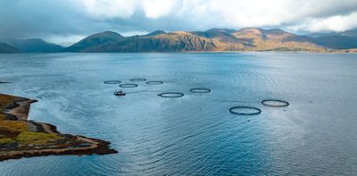 Why Scottish salmon’s rebrand may end up harming the integrity of a top export and hurting producers