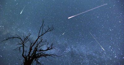 Geminid meteor shower to light up night sky – how to watch