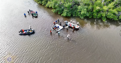 Dolphins stranded after Hurricane Milton are dragged to safety from Florida lagoon in dramatic rescue