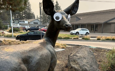 Oregon Residents Mock City Officials' Plea to Stop Putting Googly Eyes on Statues: 'Give the People What They Want'