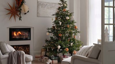 How to keep a home clean with a real Christmas tree – 6 steps to keep the magic alive and the mess away