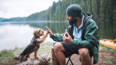 The great outdoors is calling! Here are fun outdoor activities to try with your pet whatever the weather