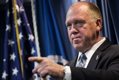 From Funding to Military Efforts, Trump's Border Czar, Tom Homan, Outlines How He Will Carry Mass Deportations