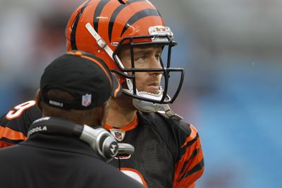 Carson Palmer is worried about Joe Burrow and the Bengals