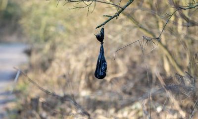 Poodunnit: dear fellow dog owners, why do so many of you bother to bag pet mess then not bin it?