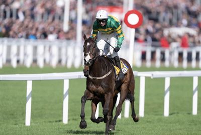 Majborough enters the Arkle equation with win on chase debut