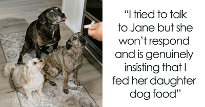 Sister’s Meltdown Leaves Woman Questioning: “AITA For Giving My Niece ‘Dog Food’?”