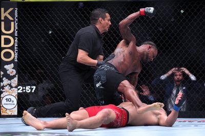 Michael Johnson def. Ottman Azaitar at UFC Tampa: Best photos