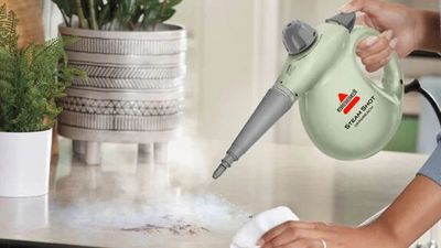 This BISSELL steam cleaner is exactly what you need for the pre and post Christmas clean-up