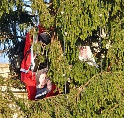 Protester dressed as Santa scales Trafalgar Square Christmas tree in dramatic Fathers4Justice stunt