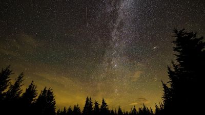 Ursid meteor shower 2024: Where and when to see the final meteor shower of the year