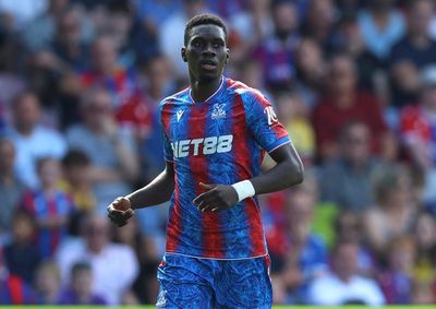 WATCH: Brighton 1-3 Crystal Palace Highlights