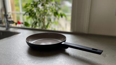 Is this ceramic pan the affordable answer to non-toxic cooking?