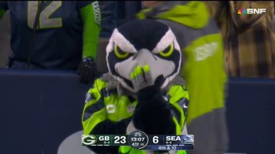 Pensive, Emotionless Seahawks Mascot Perfectly Summed Up Bad Night in Seattle