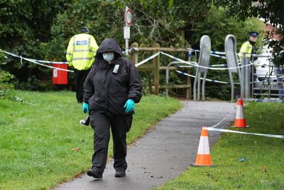 Girl, 12, charged with manslaughter of 80-year-old man in park