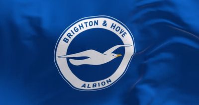 Next Brighton Manager Betting Odds: Could The Seagulls Turn To A Former Manager?