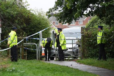 Girl, 12, appears in court charged with killing pensioner in park