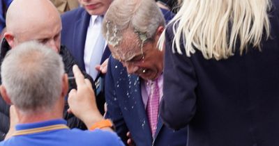 Nigel Farage cries foul as woman avoids jail for dousing him with milkshake