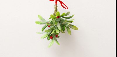 Mistletoe: a Christmas symbol with a hidden gift of healing