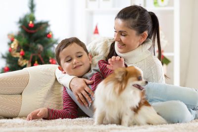 The most important things to know before getting a puppy this Christmas