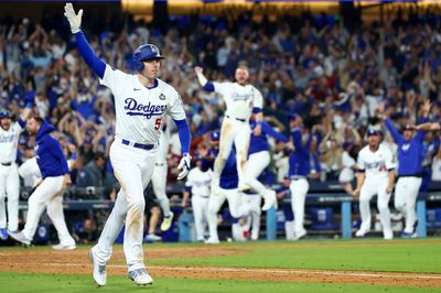 Freeman's World Series Walk-off Home Run Ball Sold For $1.56 Mln