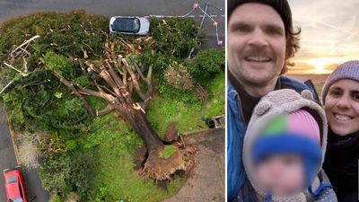 Dad fighting for his life after tree struck family during Storm Darragh