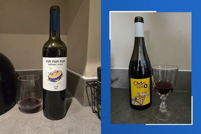 These are the best red wines of 2025, according to an expert taster