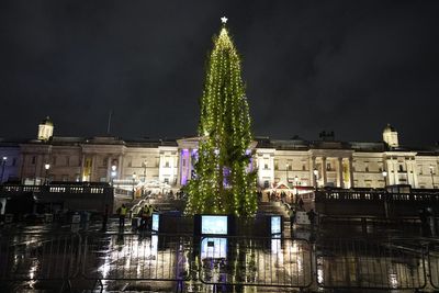 Protester scales Trafalgar Square tree dressed as Santa