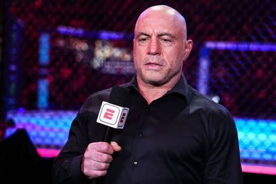 Joe Rogan "concerned" about drones