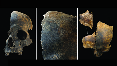 4,000-year-old bones reveal 'unprecedented' violence — tongue removal, cannibalism and evisceration in Bronze Age Britain