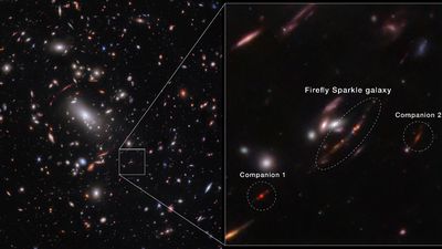 James Webb Space Telescope witnesses Firefly Sparkle galaxy 'being assembled brick by brick' (image, video)