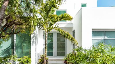 When and how to prune a palm tree – plus which part never to cut back