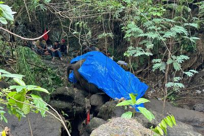 Zoo elephant dies after being swept away on tourist island