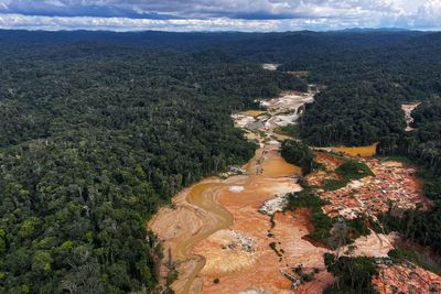 South America's Most Powerful Criminal Group Continues Its Invasion of the Amazon Forest in Search of Gold