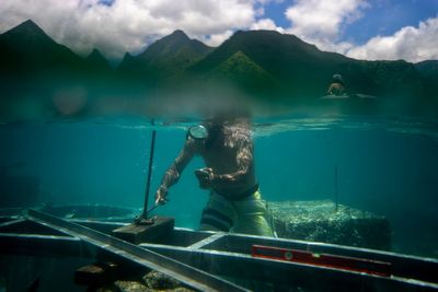 From water destruction to deadly heat, Associated Press photographers capture climate change in 2024