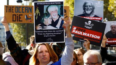 Environmental activist Paul Watson freed after Denmark refuses his extradition to Japan